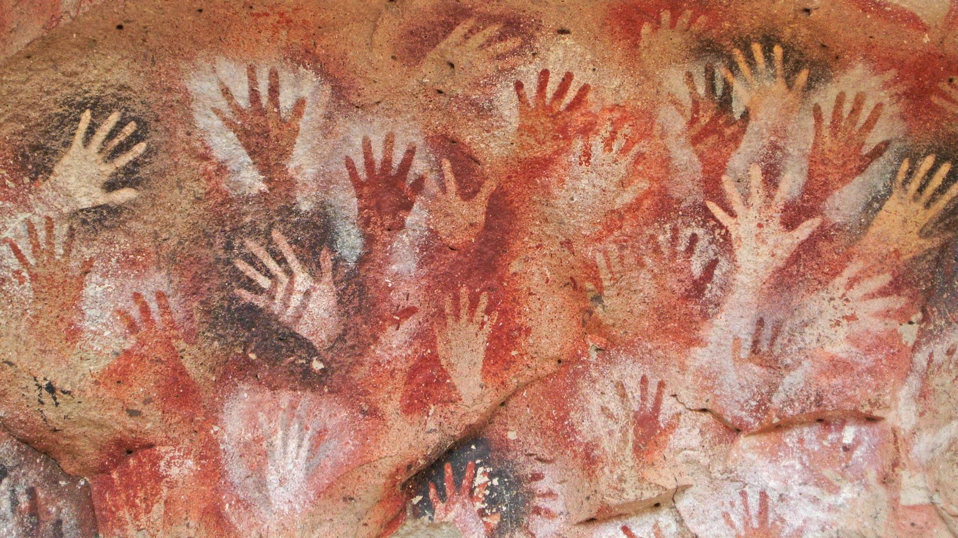Nurturing local and global kinship and prosperity.
